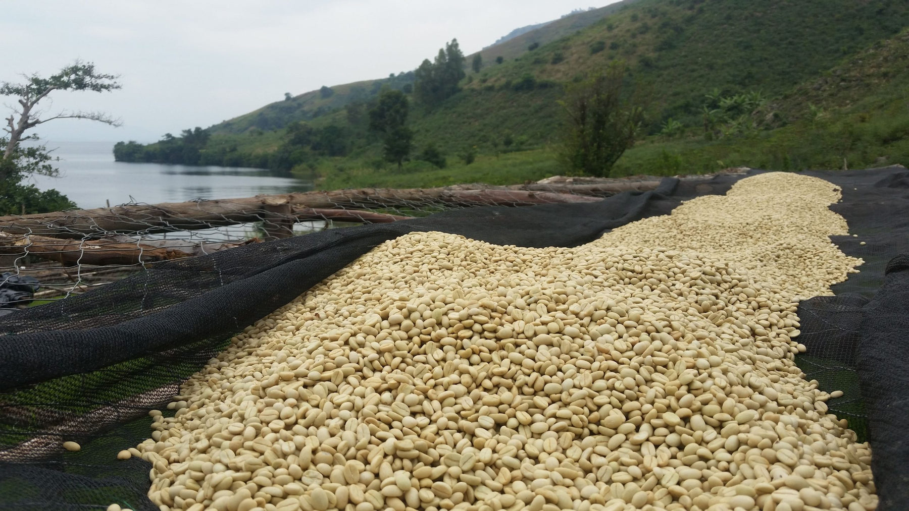 Rebuild Women's Hope — Idjwi Island, DR Congo